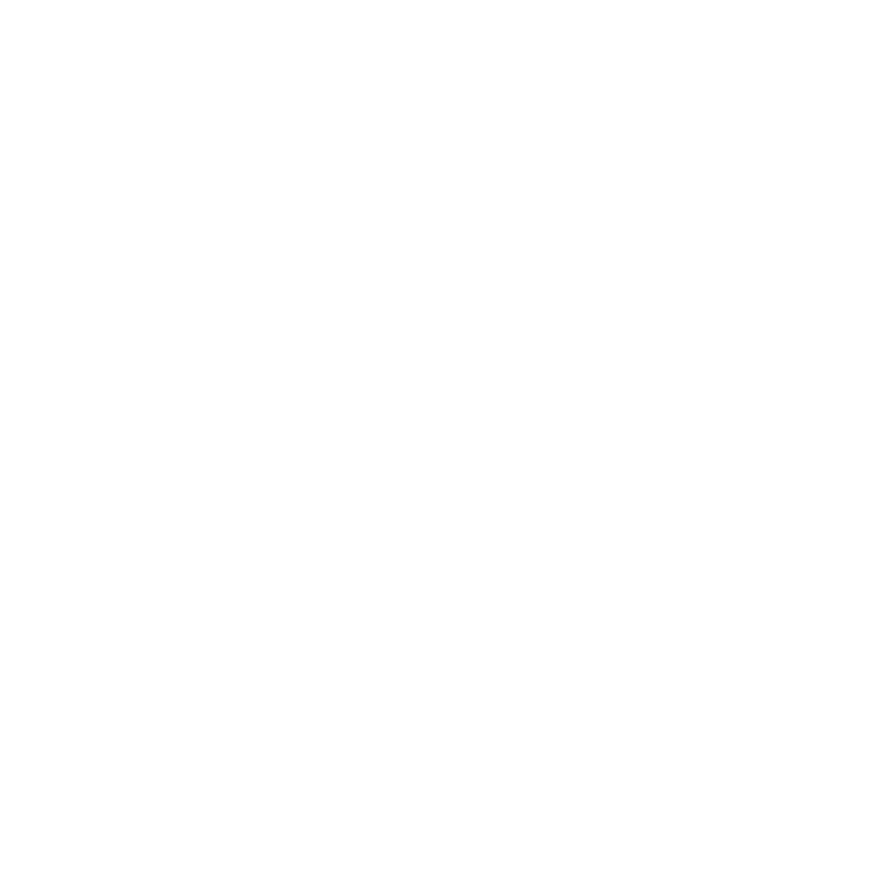 Neurania Systems Logo
